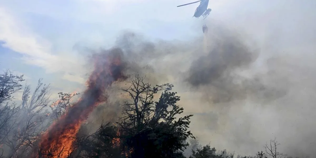 The fire persists in Los Alerces National Park, with more than 8,000 hectares consumed