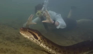 Anaconda más grande del mundo muere a manos de cazadores furtivos – MonitorExpresso.com