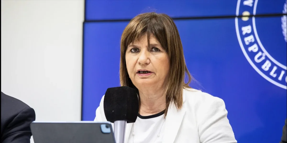 Bullrich claimed that Lousteau rejected the DNU because "they took the box from the universities"