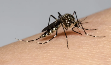 La Rioja recorded its first fatality from dengue fever