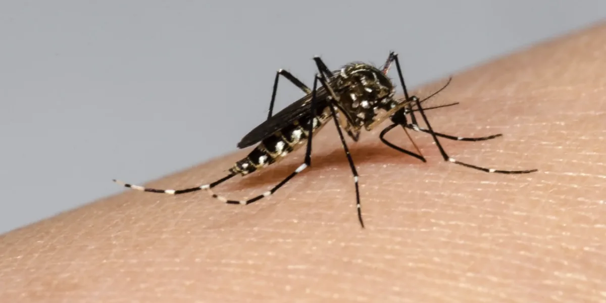 La Rioja recorded its first fatality from dengue fever