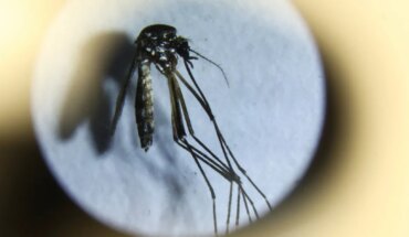 Por el brote histórico de dengue, el Gobierno reunió a los ministros de las provincias