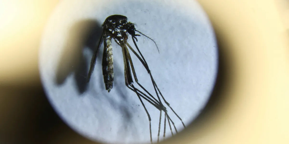 Por el brote histórico de dengue, el Gobierno reunió a los ministros de las provincias