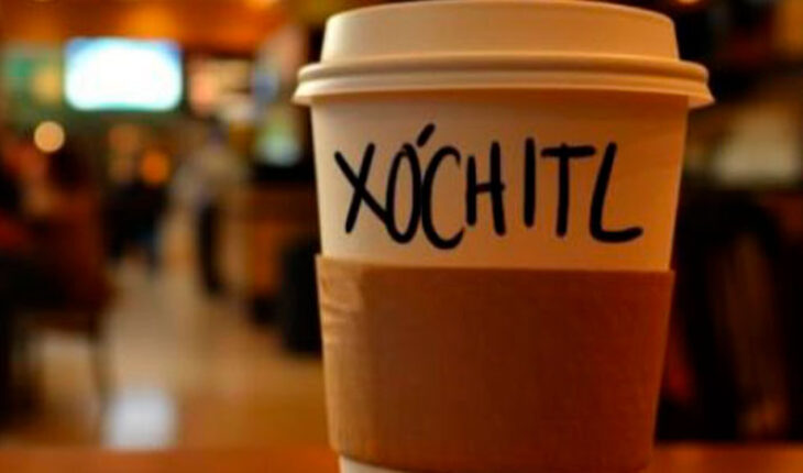 Usuarios de “X” piden a Starbucks que saque el vaso de Xóchitl Gálvez – MonitorExpresso.com