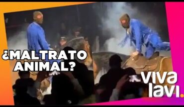 Video: Bad Bunny es criticado por usar caballo durante su show | Vivalavi MX