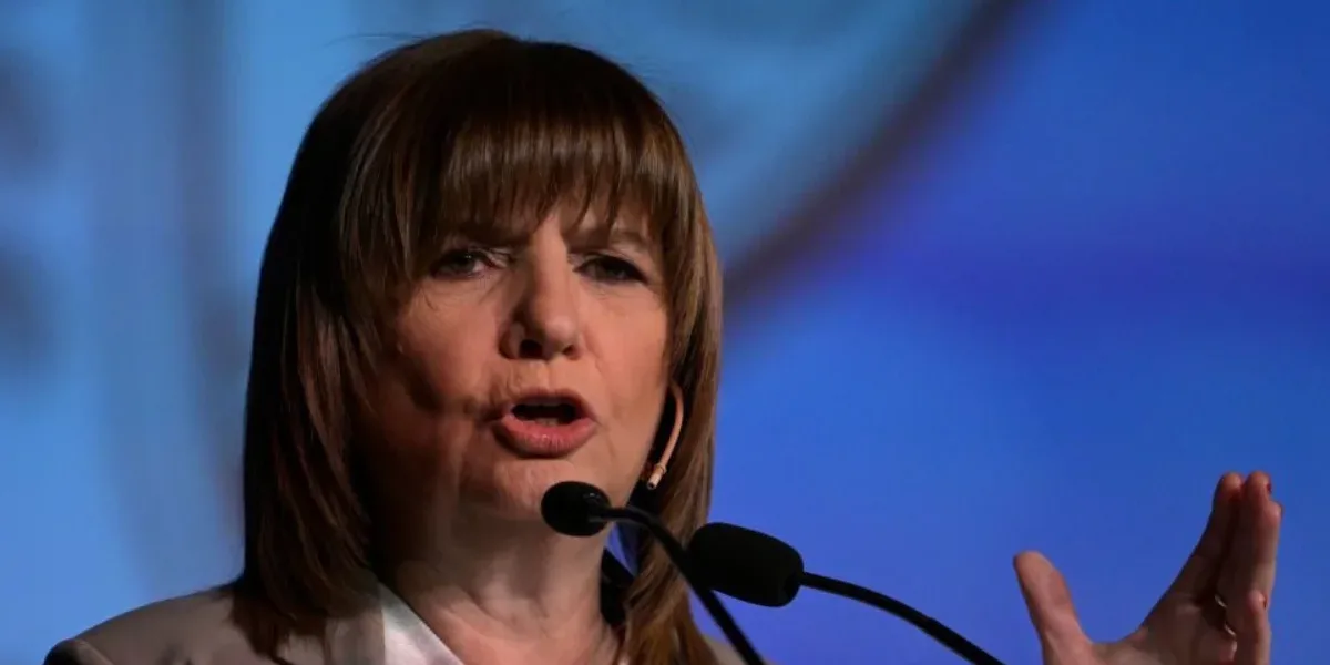 Patricia Bullrich defended the role of the Armed Forces: "They have been very mistreated"