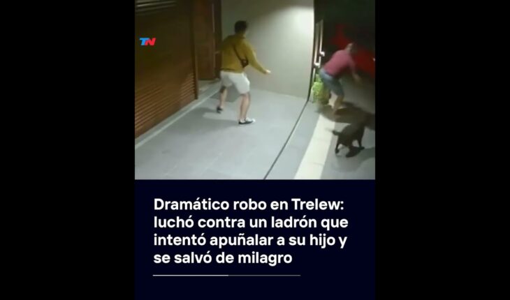 Video: Dramático robo en Trelew: luchó con un ladrón que intentó apuñalar a su hijo y se salvó de milagro