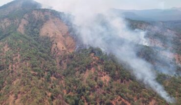 Por tierra y aire atienden incendio forestal en cerro de la Cruz: Cofom – MonitorExpresso.com