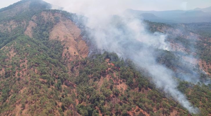 Por tierra y aire atienden incendio forestal en cerro de la Cruz: Cofom – MonitorExpresso.com
