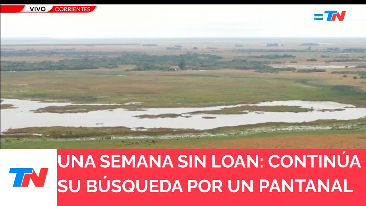 Operativo en Corrientes: buzos se sumergen en un pantano para buscar a Loan