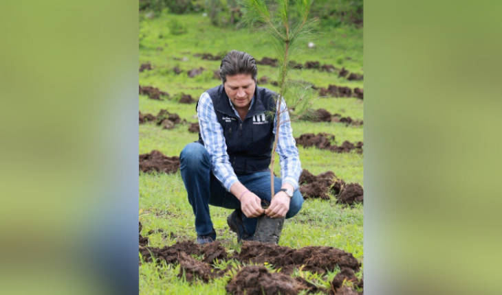 Encabeza Alfonso Martínez jornada de reforestación – MonitorExpresso.com
