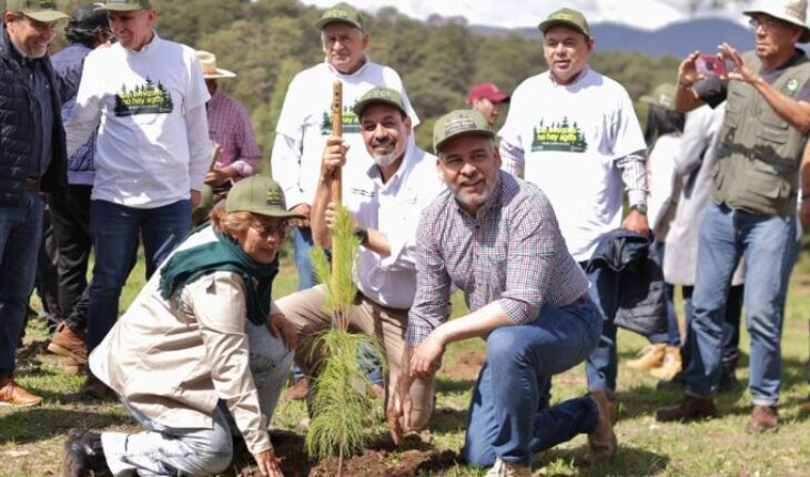Everyone, hands to the trees! Bedolla starts state reforestation – MonitorExpresso.com