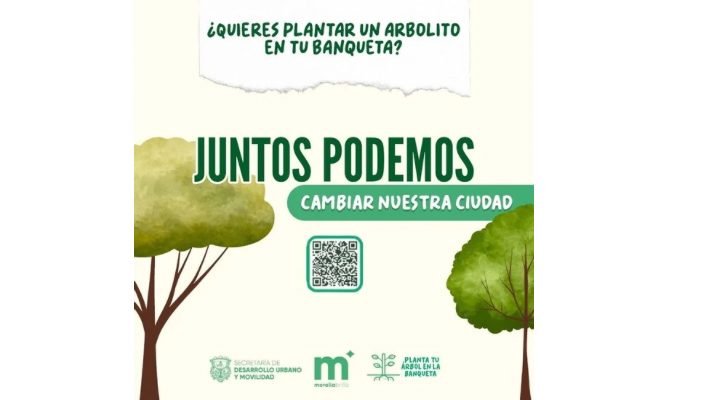 Gobierno de Morelia pone el árbol y tú elige la banqueta – MonitorExpresso.com