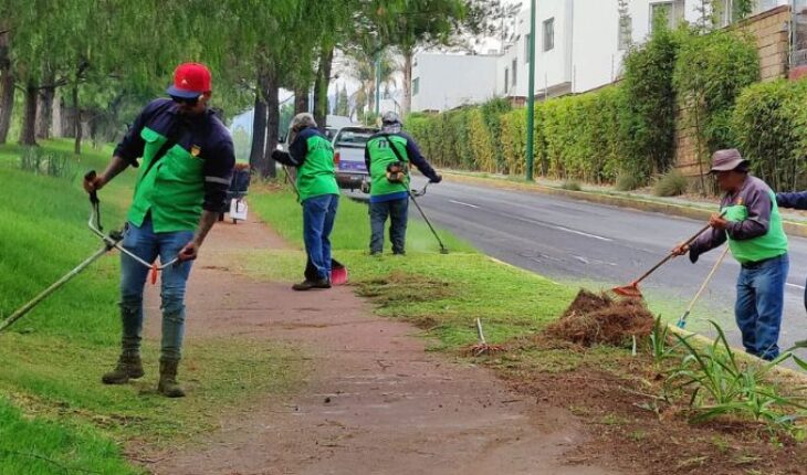 Government of Morelia works on cleaning medians in the south of Morelia – MonitorExpresso.com