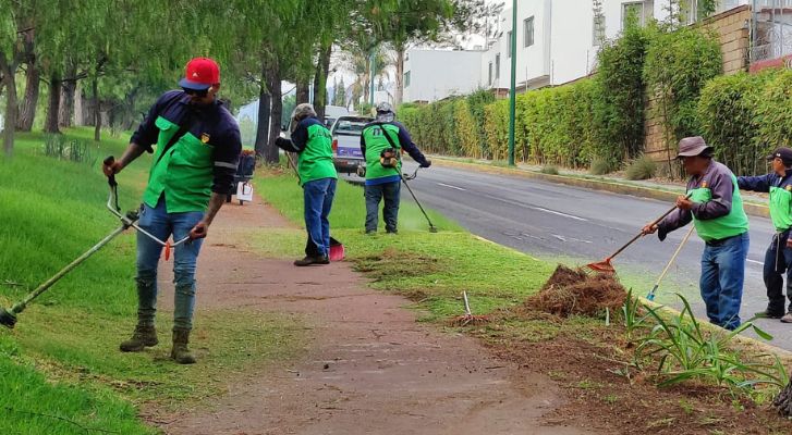 Government of Morelia works on cleaning medians in the south of Morelia – MonitorExpresso.com