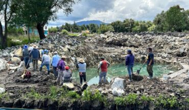 Rehabilitan 11 manantiales con trabajos de rescate del lago de Pátzcuaro: Compesca – MonitorExpresso.com