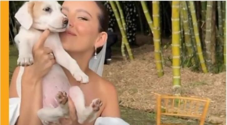 Veterinaria realiza sueño de ayudar a perritos en adopción durante su boda – MonitorExpresso.com