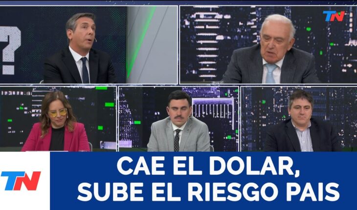 Video: CARLOS RUCKAUF, ex Vice Presidente en “¿La Ves?”