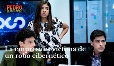 Video: Uno de los empleados de Fernanda hackea el sistema y roba un proyecto – Pedro el Escamoso 2