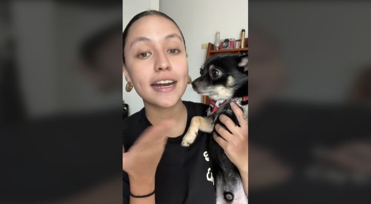 Woman shows how her dog makes money on social networks – MonitorExpresso.com